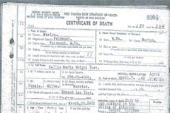 Nellie's death certificate